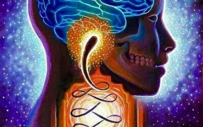 Reflexionar sobre la diferencia entre debilidad y vulnerabilidad.